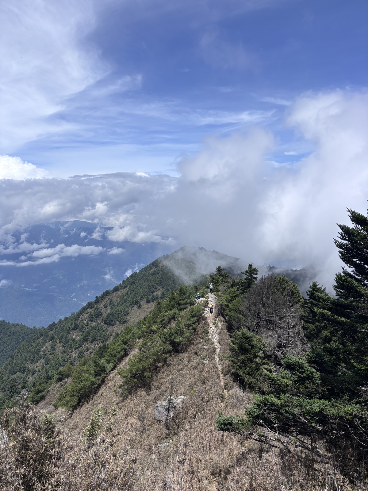 郡大山