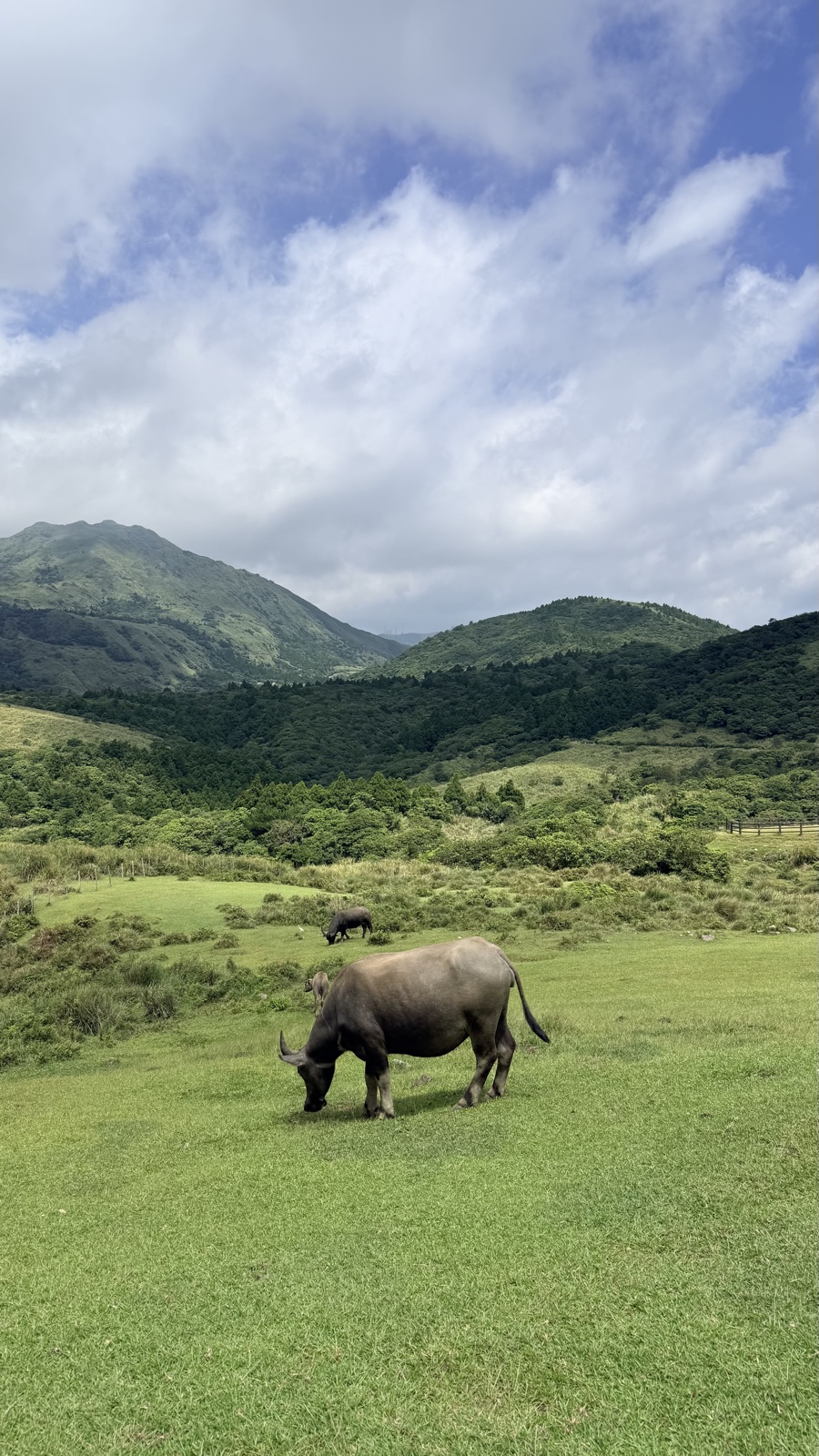 士林區 登山