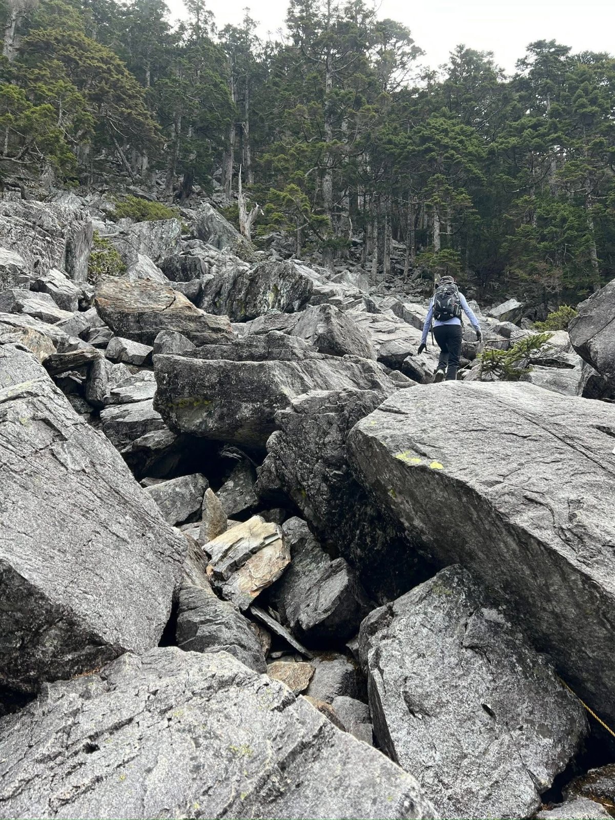 白姑大山單攻