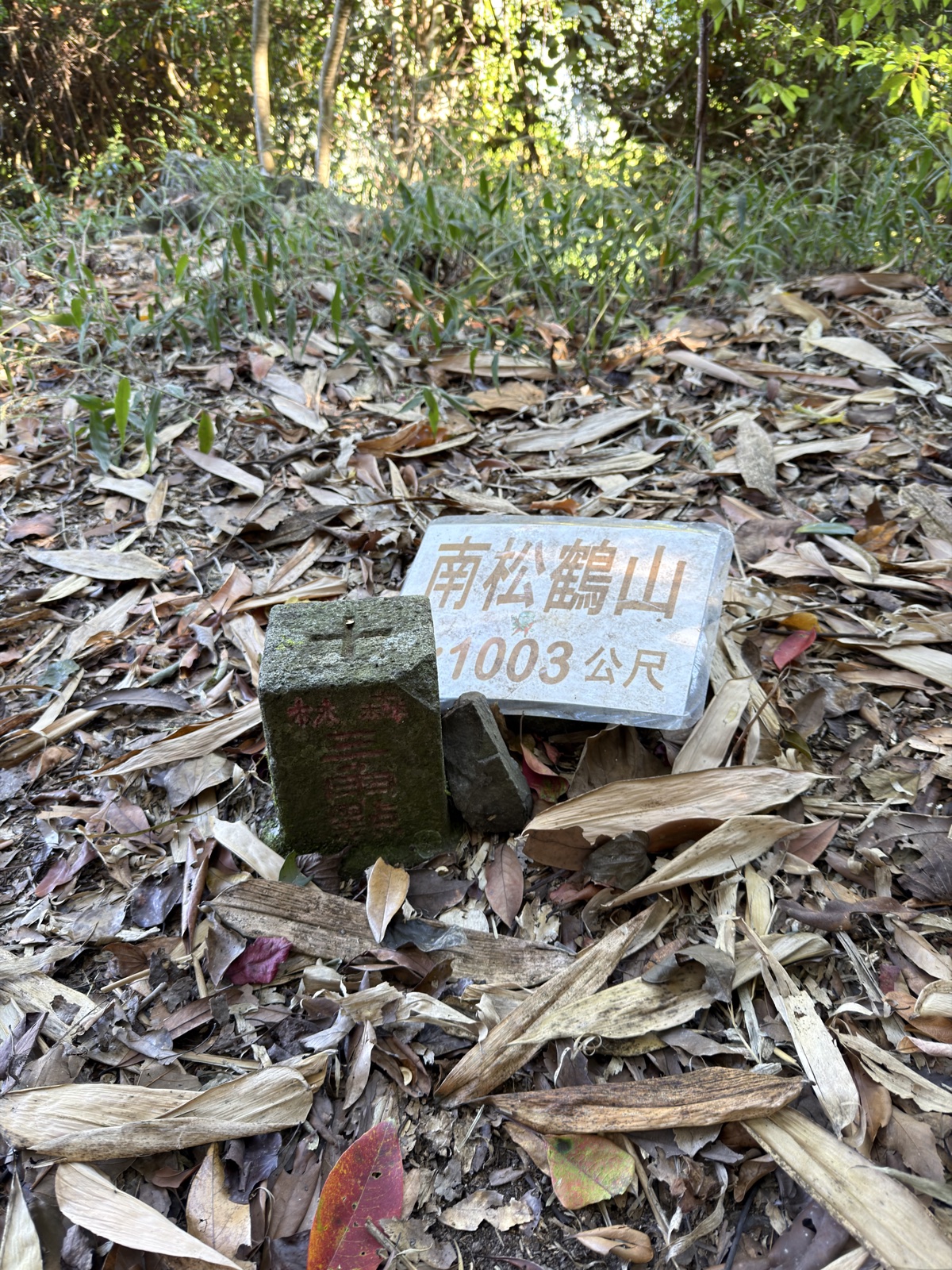 南松鶴上八仙
