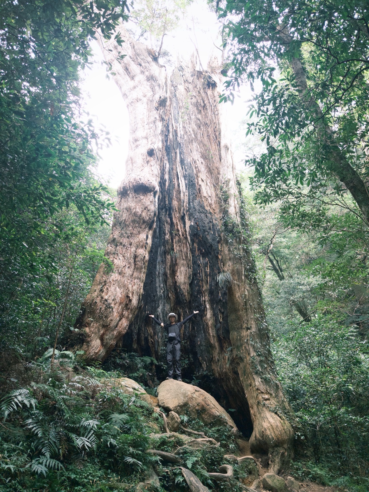 10/18 北得拉曼/內鳥嘴山