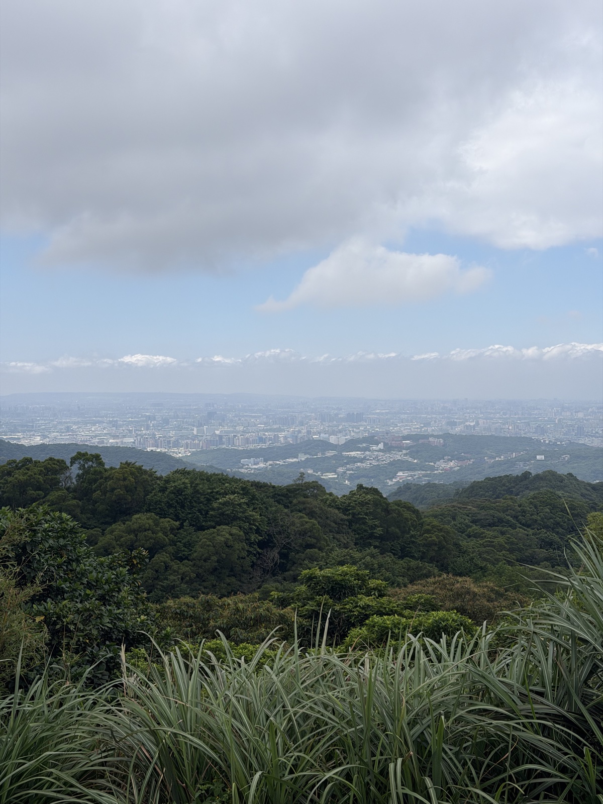 10/3 2025/2/18 鶯樹縱走