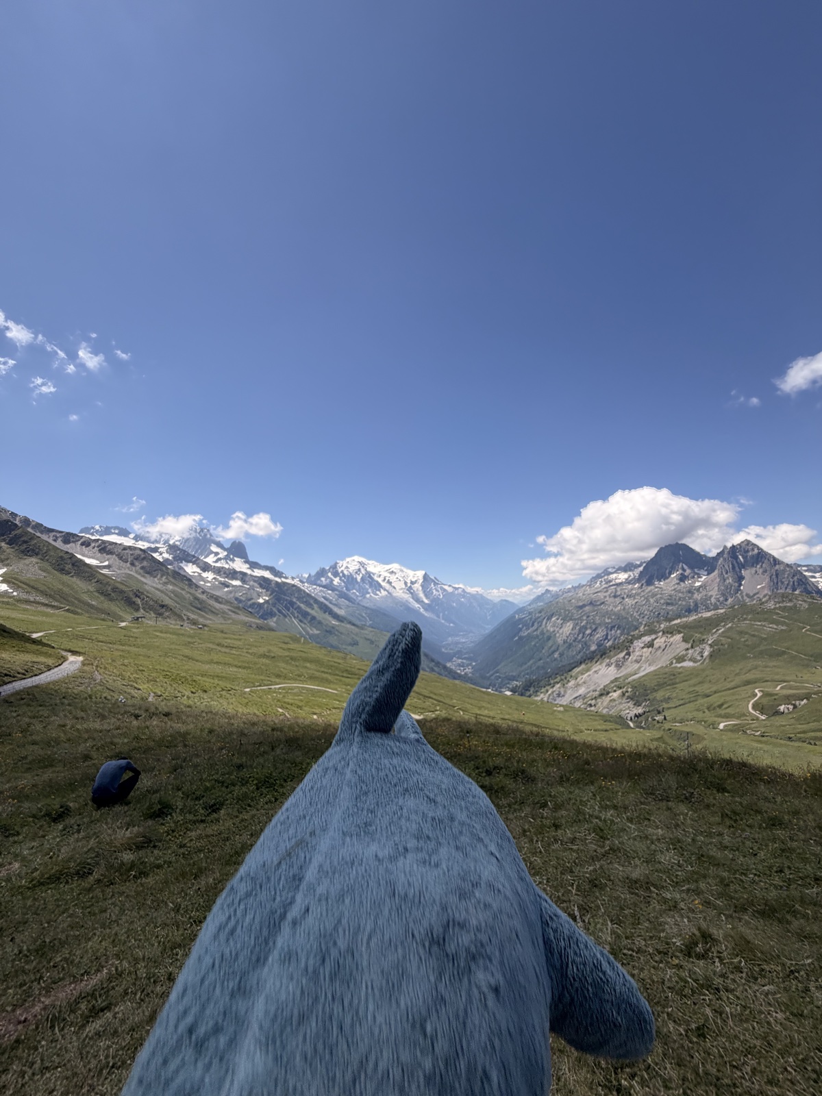 TMB - Trient - Balme