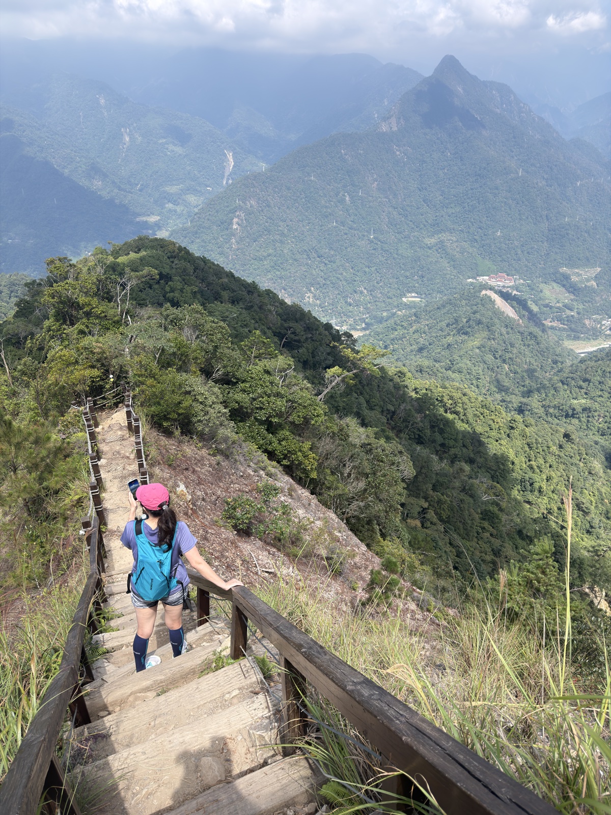 白毛山#8