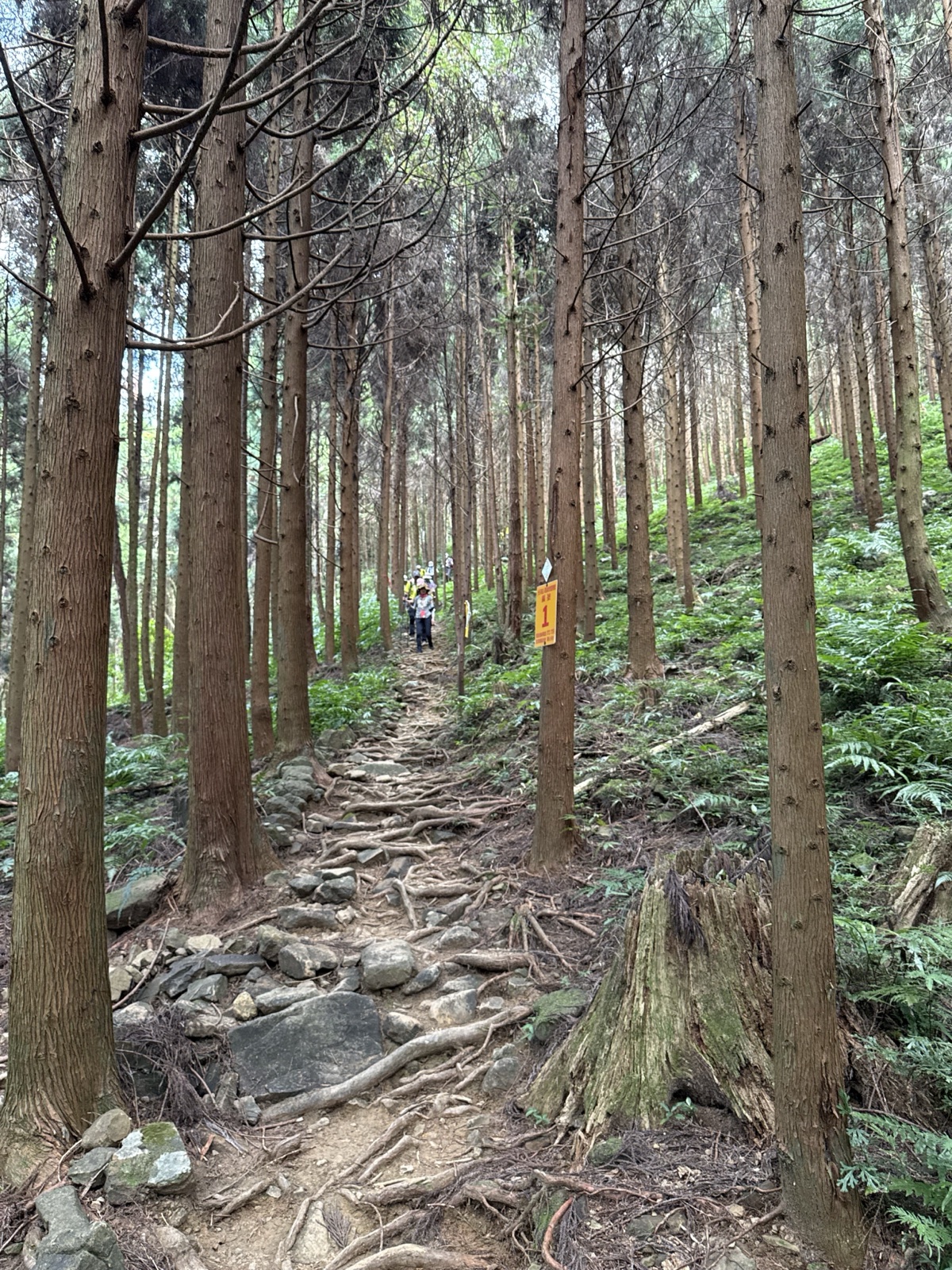 2026-9-27 光天高山向天湖山三角湖山